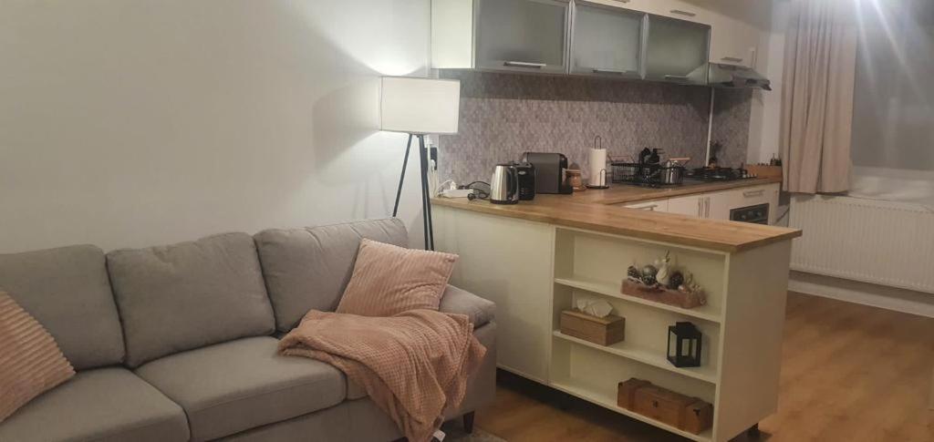 Magda Apartment Sibiu Bagian luar foto